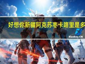 好想你 新疆阿克苏枣卡路里是多少