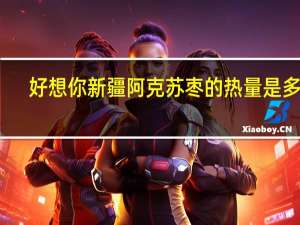 好想你 新疆阿克苏枣的热量是多少