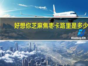 好想你 芝麻焦枣卡路里是多少