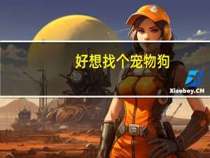 好想找个宠物狗