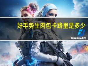 好手势 生肉包卡路里是多少