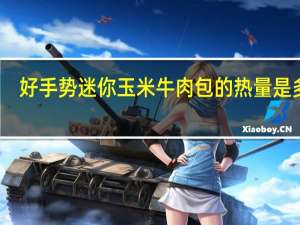 好手势 迷你玉米牛肉包的热量是多少