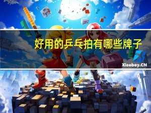 好用的乒乓拍有哪些牌子