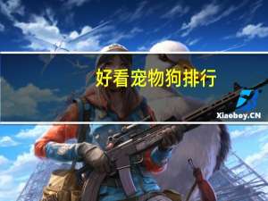 好看宠物狗排行