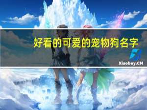 好看的可爱的宠物狗名字