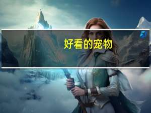 好看的宠物