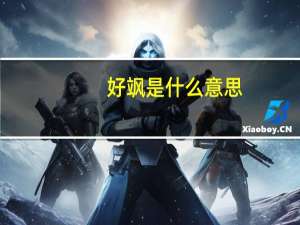 好飒是什么意思（好飒是什么意思）