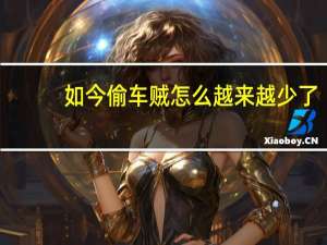 如今偷车贼怎么越来越少了，小偷良心发现了