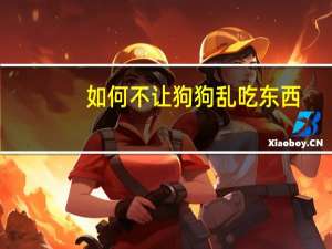 如何不让狗狗乱吃东西