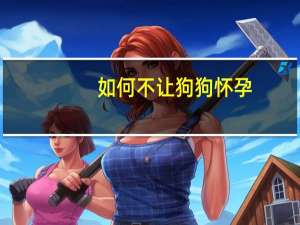 如何不让狗狗怀孕