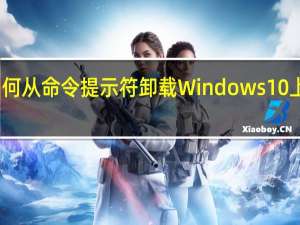 如何从命令提示符卸载Windows10上的程序