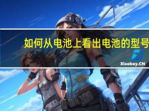如何从电池上看出电池的型号