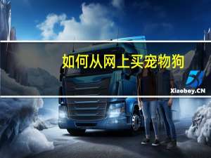 如何从网上买宠物狗