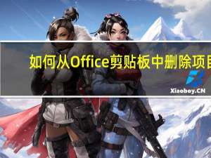 如何从Office剪贴板中删除项目