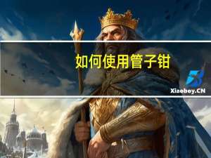 如何使用管子钳