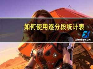 如何使用逐分段统计表
