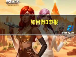 如何做0申报