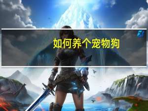 如何养个宠物狗