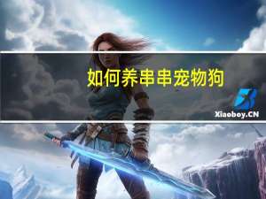 如何养串串宠物狗