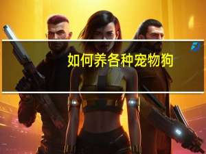 如何养各种宠物狗