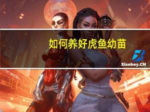 如何养好虎鱼幼苗（虎鱼苗怎么养）