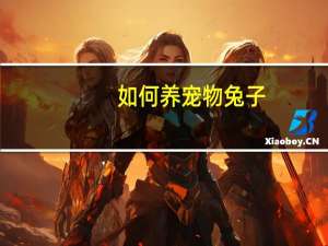 如何养宠物兔子