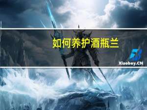 如何养护酒瓶兰：土壤、阳光、湿度等7方面介绍