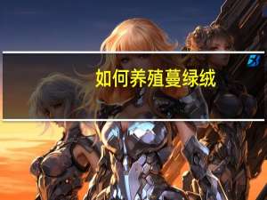 如何养殖蔓绿绒：喜温暖、湿润、半阴的环境