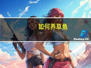 如何养草鱼
