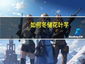 如何冬储花叶芋