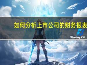 如何分析上市公司的财务报表