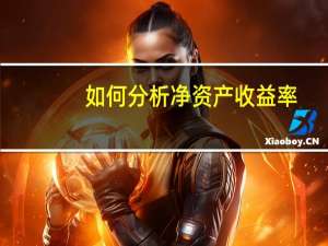 如何分析净资产收益率