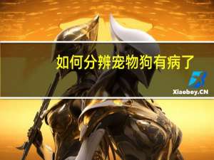 如何分辨宠物狗有病了