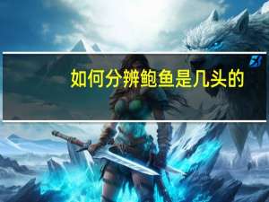 如何分辨鲍鱼是几头的