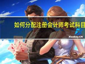 如何分配注册会计师考试科目