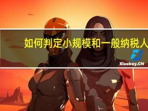 如何判定小规模和一般纳税人