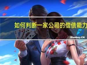 如何判断一家公司的偿债能力