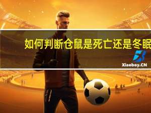 如何判断仓鼠是死亡还是冬眠