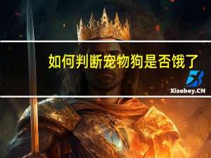 如何判断宠物狗是否饿了