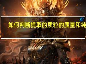 如何判断提取的质粒的质量和纯度
