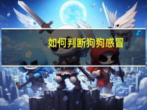 如何判断狗狗感冒