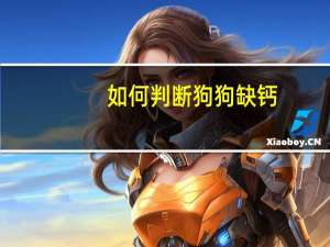 如何判断狗狗缺钙