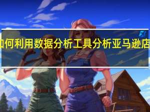 如何利用数据分析工具分析亚马逊店铺数据