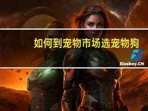 如何到宠物市场选宠物狗