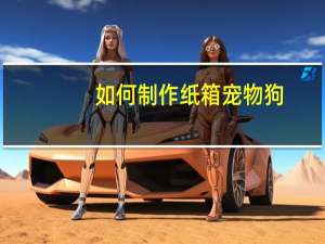 如何制作纸箱宠物狗