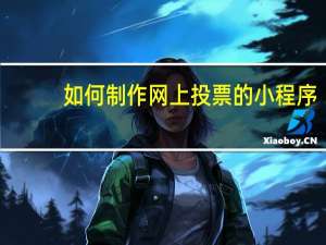 如何制作网上投票的小程序
