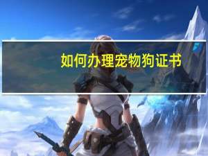 如何办理宠物狗证书