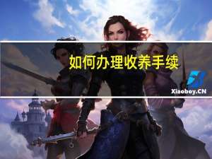 如何办理收养手续
