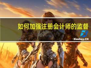 如何加强注册会计师的监督