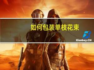 如何包装单枝花束